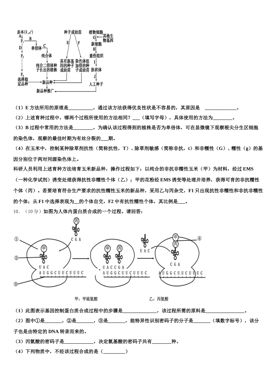 2025年四川省成都市金牛区高一生物第二学期期末统考模拟试题含解析_第3页