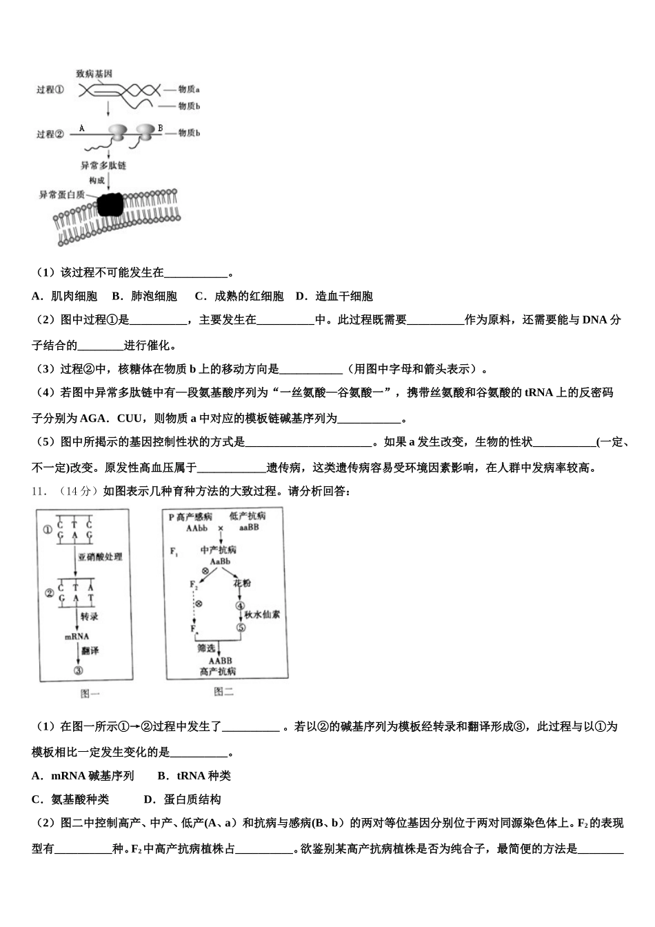 四川绵阳中学2024-2025学年生物高一下期末学业水平测试模拟试题含解析_第3页