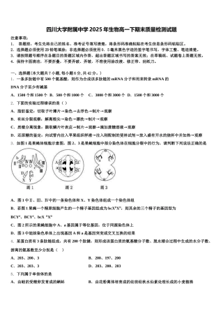 四川大学附属中学2025年生物高一下期末质量检测试题含解析
