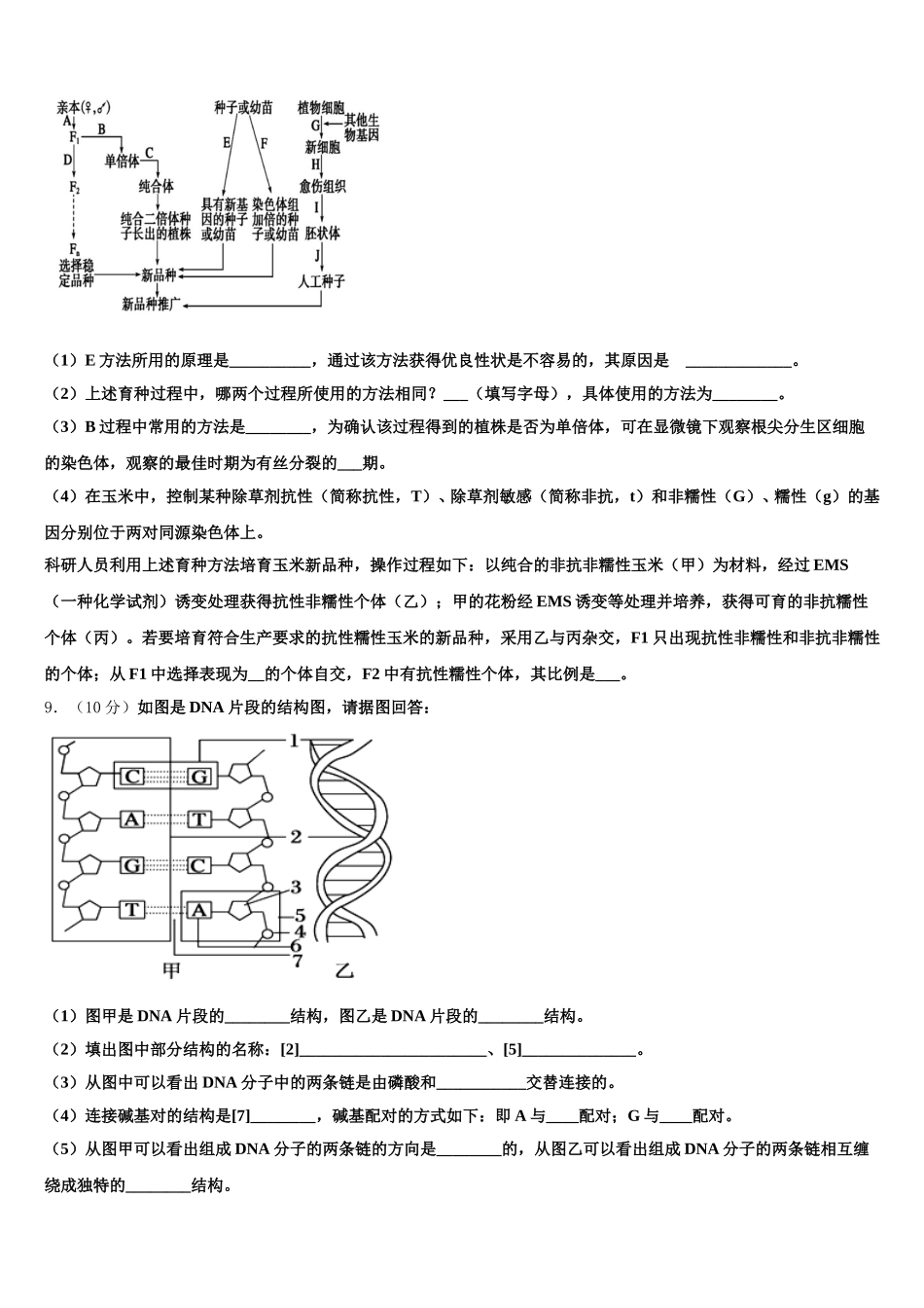 四川省攀枝花市2024-2025学年高一生物第二学期期末考试模拟试题含解析_第3页