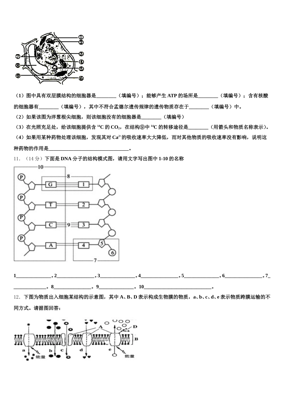 四川省成都市郫都四中2024-2025学年高一生物第二学期期末联考模拟试题含解析_第3页