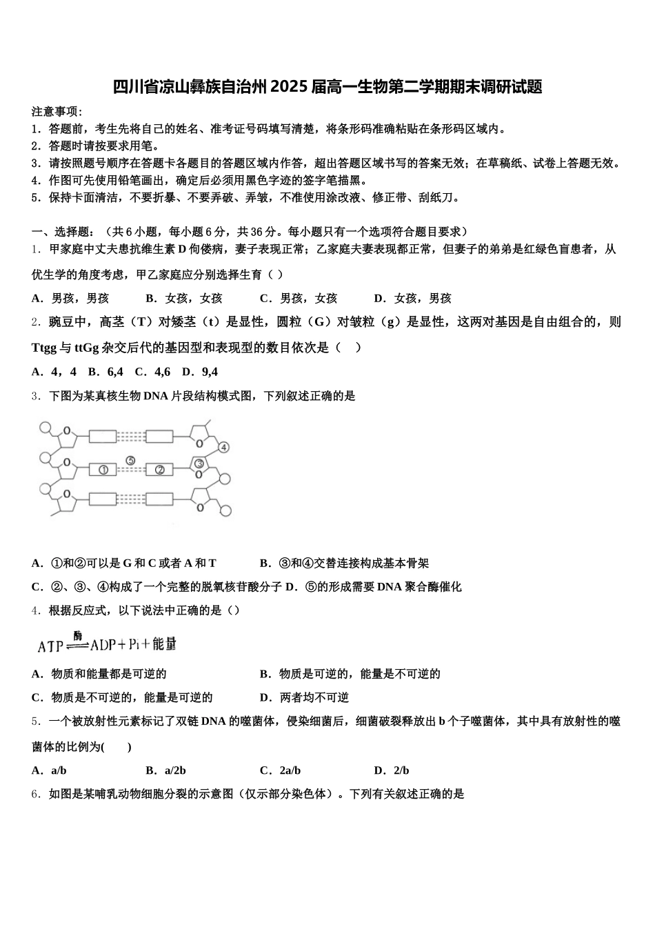 四川省凉山彝族自治州2025届高一生物第二学期期末调研试题含解析_第1页