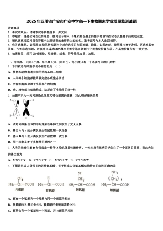 2025年四川省广安市广安中学高一下生物期末学业质量监测试题含解析