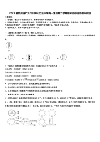 2025届四川省广元市川师大万达中学高一生物第二学期期末达标检测模拟试题含解析