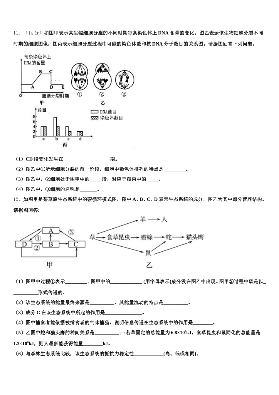 四川省射洪中学2025届高一生物第二学期期末教学质量检测试题含解析_第3页