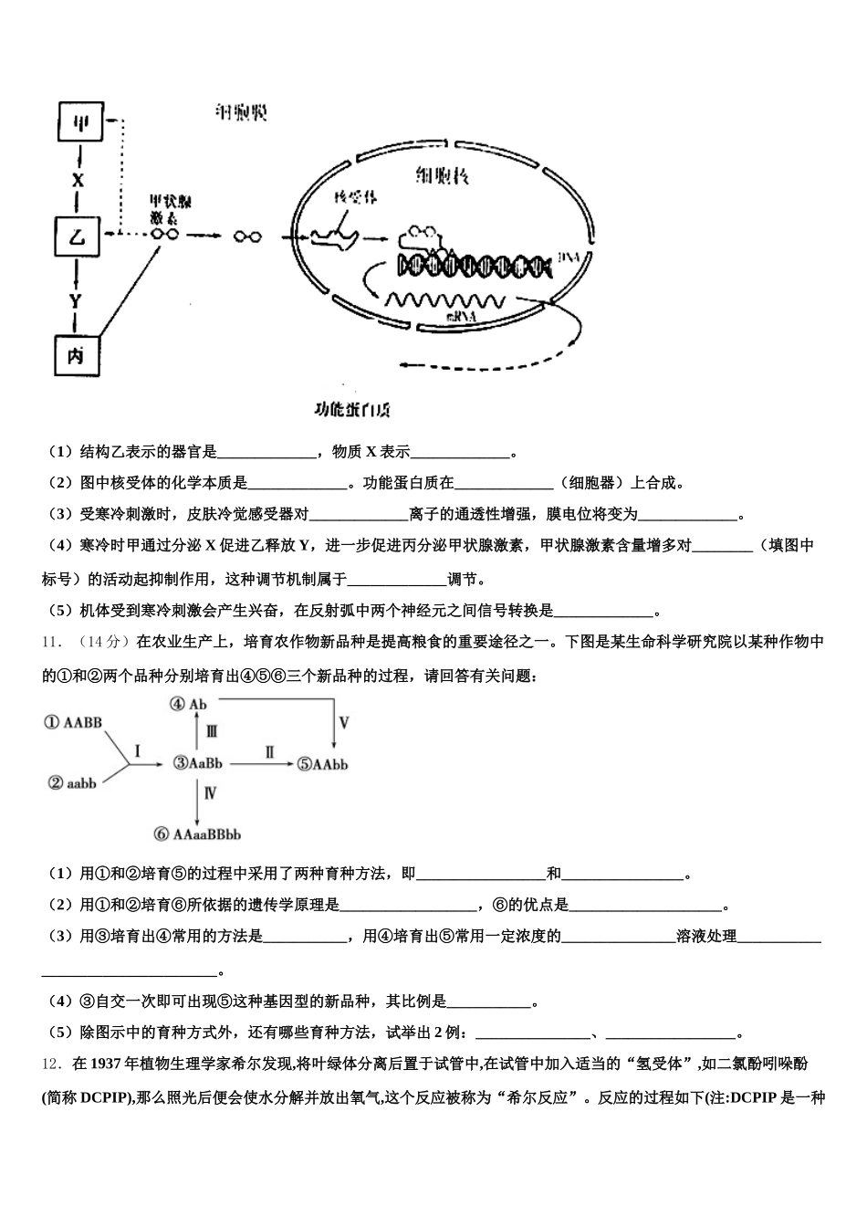 2025年四川省资阳市雁江区丰裕高中高一生物第二学期期末学业质量监测试题含解析_第3页