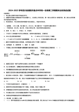 2024-2025学年四川省德阳市重点中学高一生物第二学期期末达标测试试题含解析