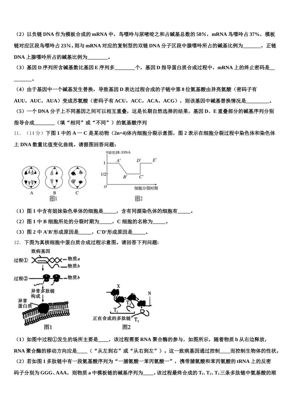 2025届乐山市重点中学生物高一第二学期期末质量检测模拟试题含解析_第3页