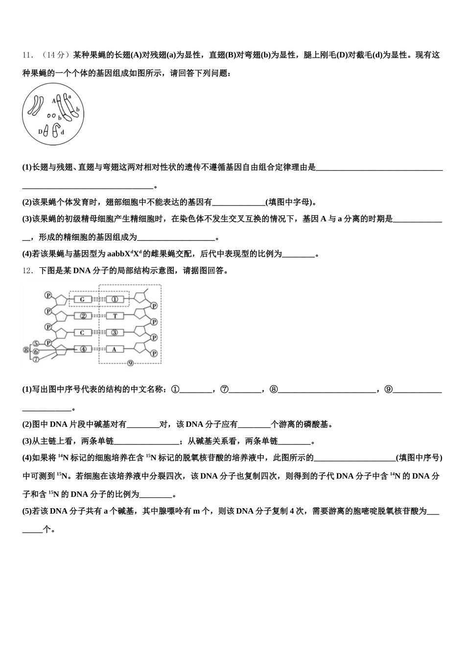 四川省宜宾四中2025年生物高一第二学期期末监测试题含解析_第3页