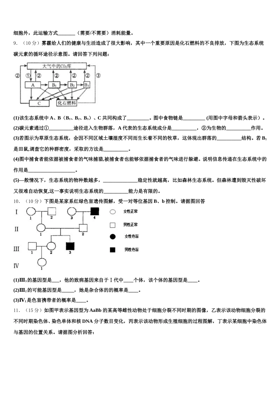 甘肃省武威市武威十八中2025届高一生物第二学期期末学业水平测试试题含解析_第3页