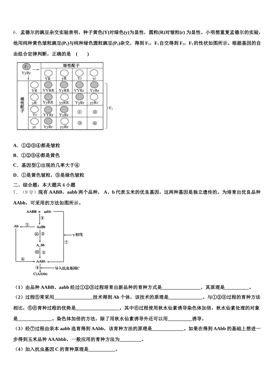 2024-2025学年甘肃省兰州市城关区兰州一中高一下生物期末教学质量检测模拟试题含解析_第2页