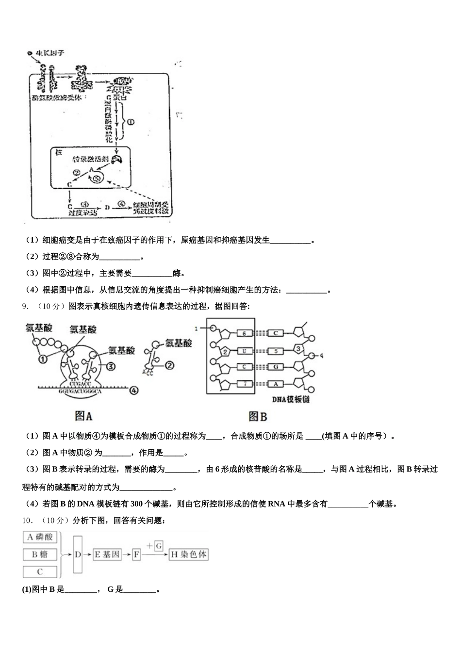 甘肃省兰州市2024-2025学年生物高一下期末学业质量监测模拟试题含解析_第3页