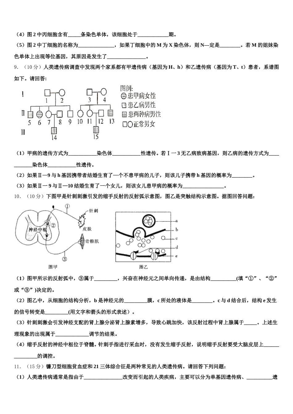 甘肃省武威市民勤一中2025届高一生物第二学期期末调研试题含解析_第3页