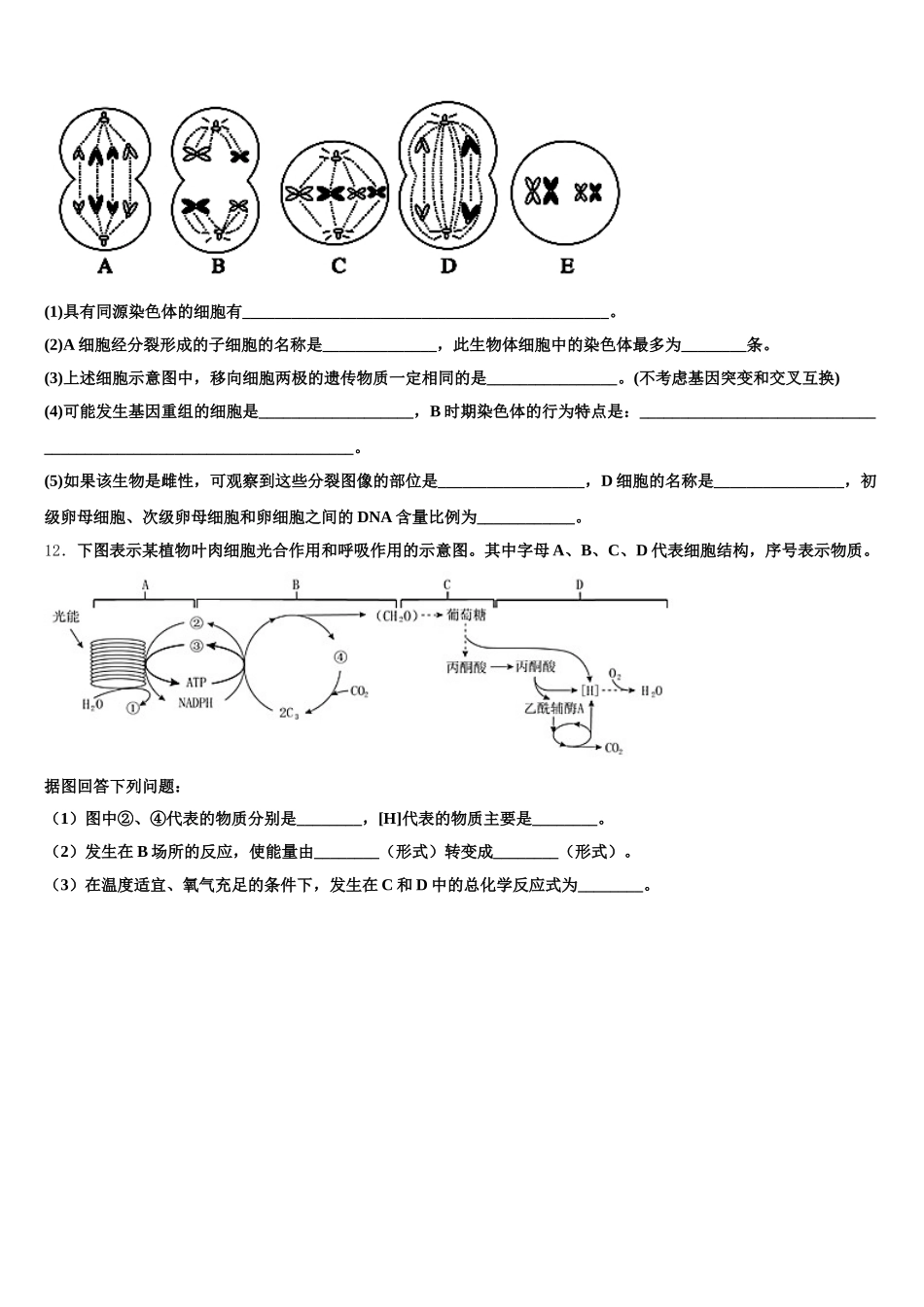 甘肃省民勤县第一中学2025年生物高一第二学期期末预测试题含解析_第3页