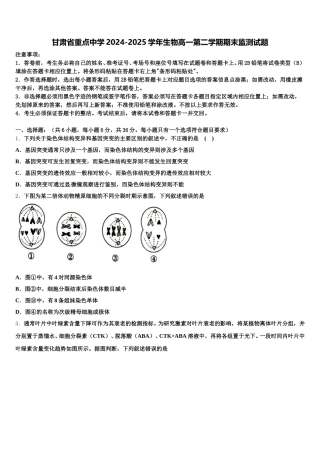 甘肃省重点中学2024-2025学年生物高一第二学期期末监测试题含解析