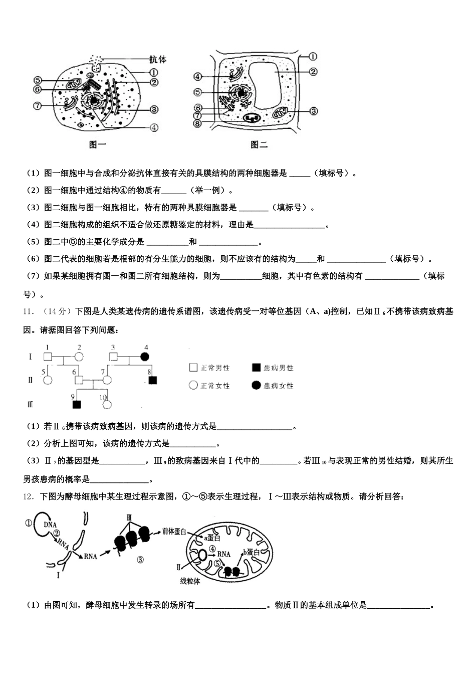 2024-2025学年甘肃省临洮县第二中学生物高一第二学期期末学业质量监测模拟试题含解析_第3页