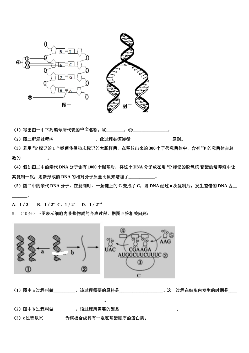 甘肃省嘉峪关市一中2025届高一下生物期末经典试题含解析_第2页