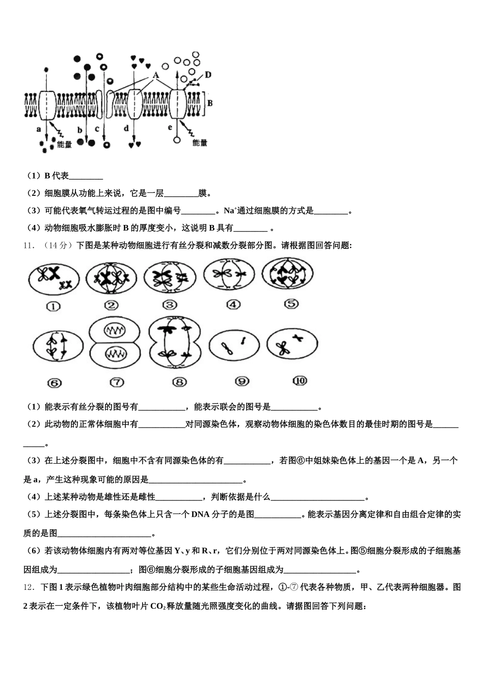 2025届平凉市重点中学生物高一下期末调研模拟试题含解析_第3页
