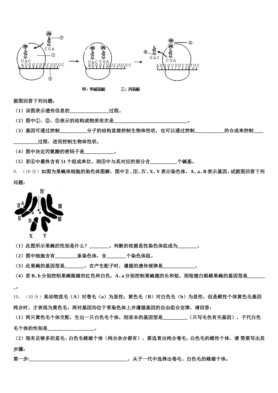 2024-2025学年平凉市重点中学生物高一下期末考试模拟试题含解析_第3页