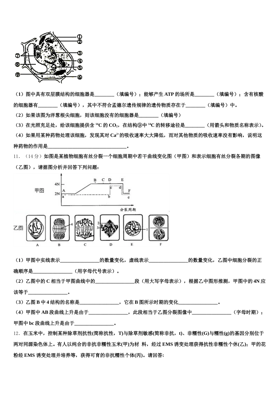甘肃省兰州市2025年生物高一第二学期期末检测试题含解析_第3页