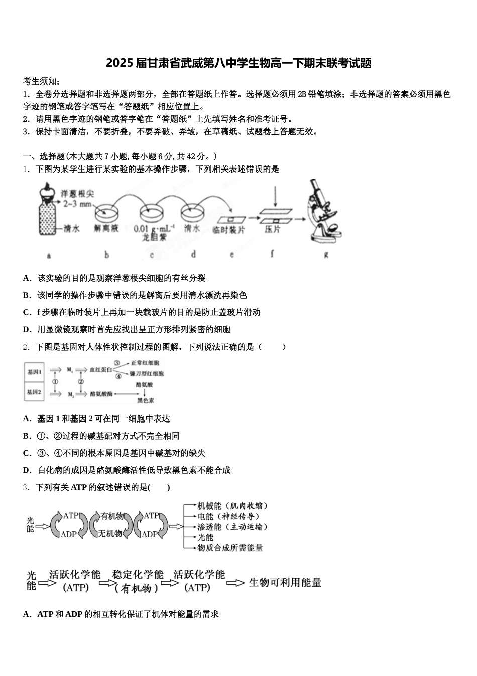 2025届甘肃省武威第八中学生物高一下期末联考试题含解析_第1页