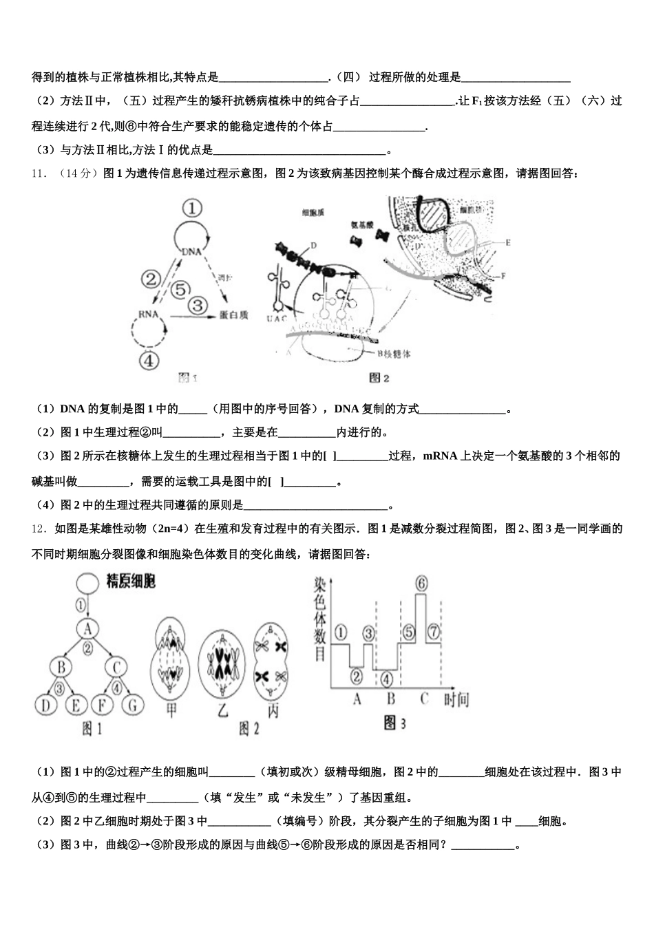 2024-2025学年甘肃省张掖市高台第一中学高一生物第二学期期末联考模拟试题含解析_第3页