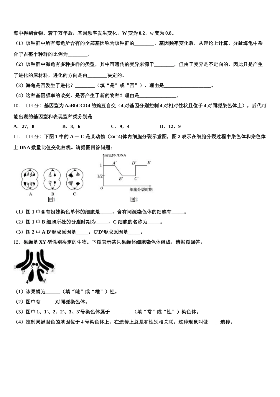 2025届甘肃省兰州市西北师范大学附属中学生物高一下期末复习检测试题含解析_第3页