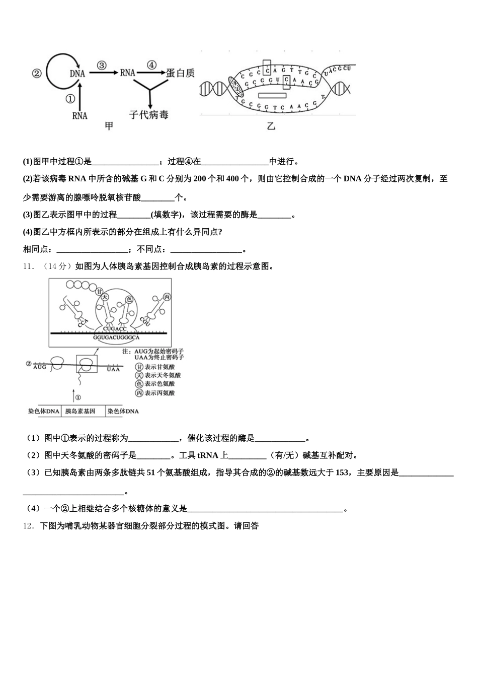 2025届甘肃省天水市甘谷县高一生物第二学期期末监测模拟试题含解析_第3页