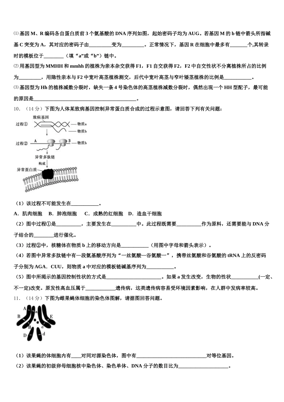 甘肃省武威第三中学2025年高一生物第二学期期末经典模拟试题含解析_第3页