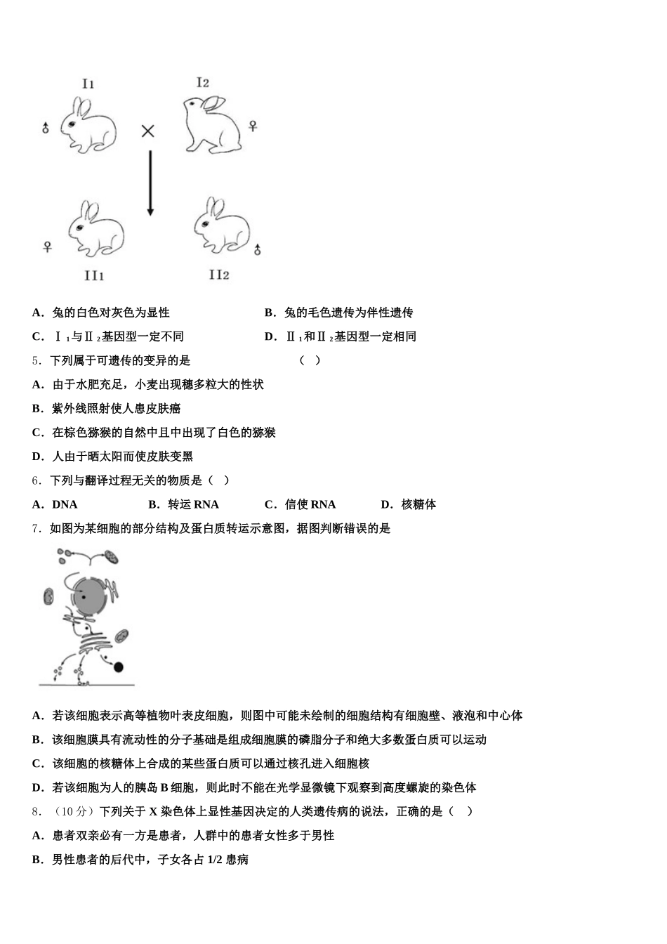 2025届甘肃省武威第三中学高一生物第二学期期末考试试题含解析_第2页