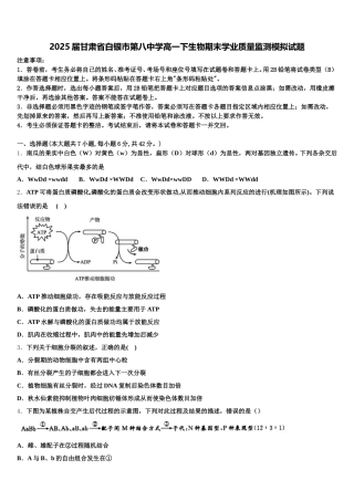 2025届甘肃省白银市第八中学高一下生物期末学业质量监测模拟试题含解析