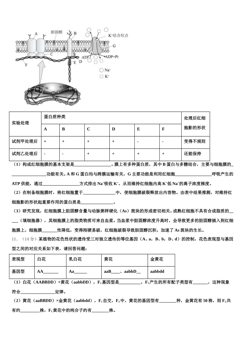 2024-2025学年甘肃省张掖市民乐县第一中学生物高一下期末质量检测模拟试题含解析_第3页
