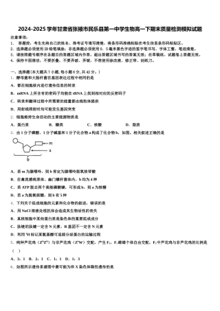 2024-2025学年甘肃省张掖市民乐县第一中学生物高一下期末质量检测模拟试题含解析