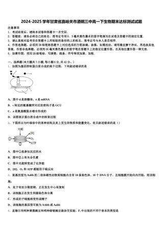 2024-2025学年甘肃省嘉峪关市酒钢三中高一下生物期末达标测试试题含解析