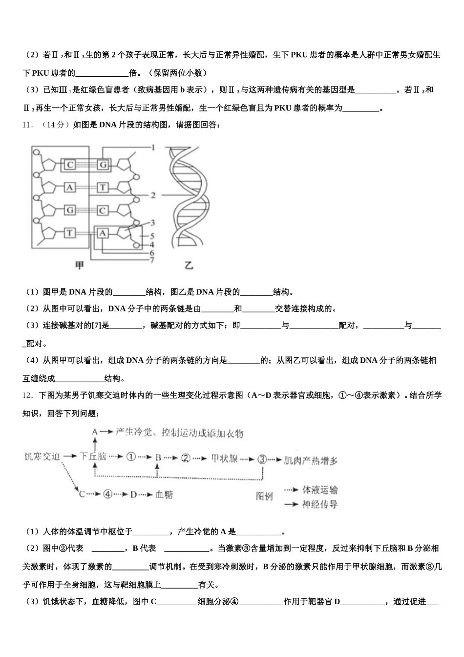 2025届甘肃省会宁一中高一生物第二学期期末检测模拟试题含解析_第3页