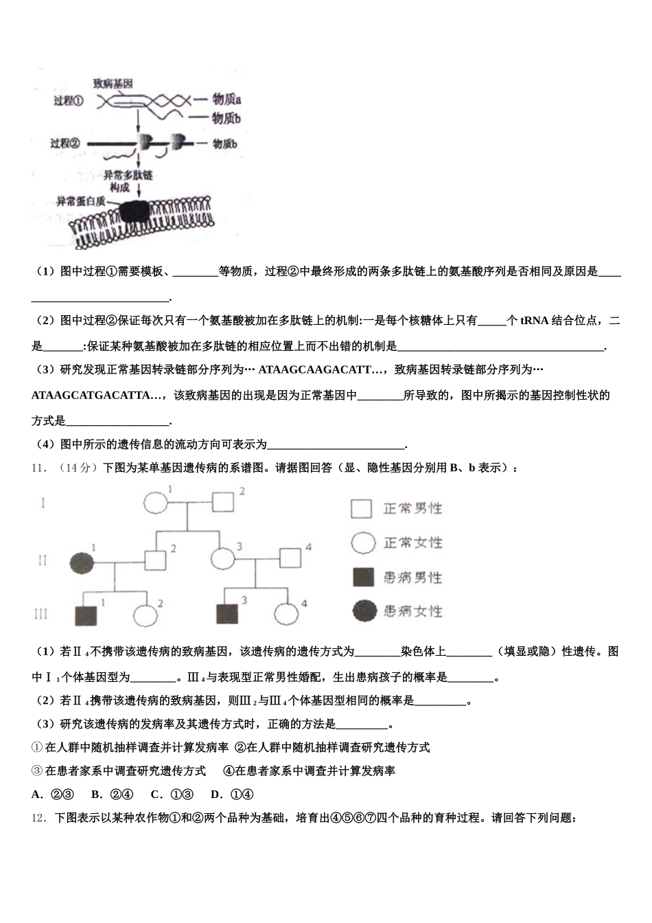甘肃省兰州大学附属中学2024-2025学年高一生物第二学期期末考试试题含解析_第3页