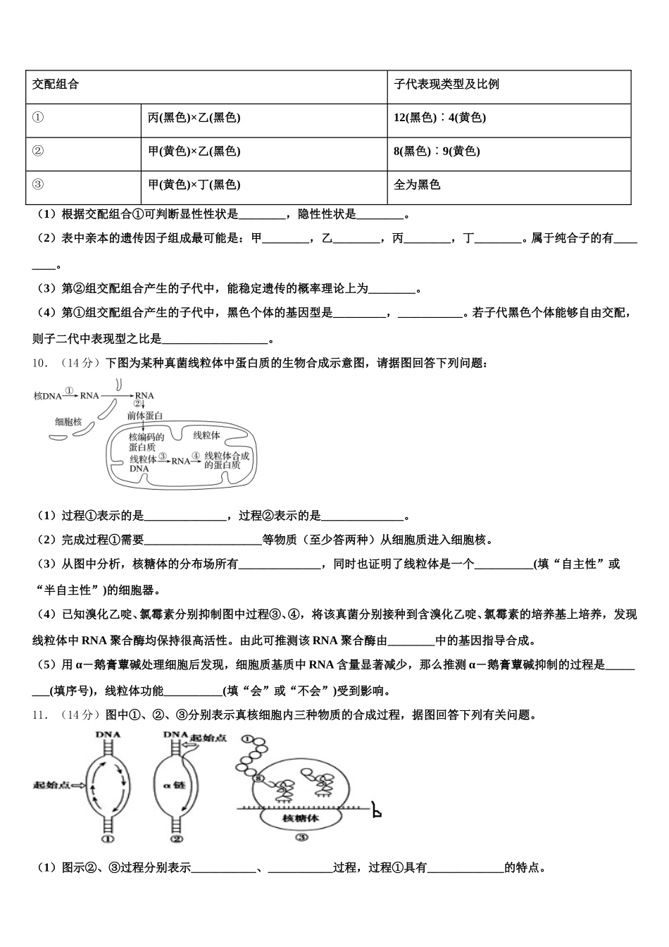2025届甘肃省武威第十八中学高一生物第二学期期末质量跟踪监视试题含解析_第3页