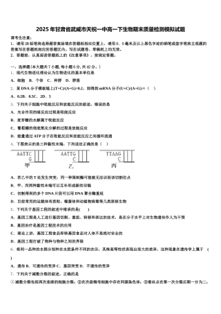 2025年甘肃省武威市天祝一中高一下生物期末质量检测模拟试题含解析