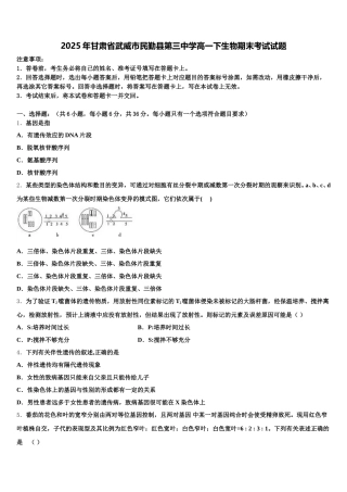 2025年甘肃省武威市民勤县第三中学高一下生物期末考试试题含解析