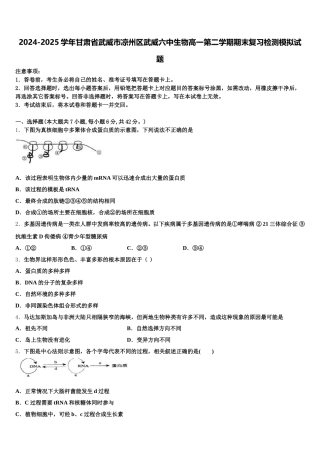 2024-2025学年甘肃省武威市凉州区武威六中生物高一第二学期期末复习检测模拟试题含解析