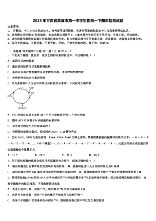 2025年甘肃省武威市第一中学生物高一下期末检测试题含解析