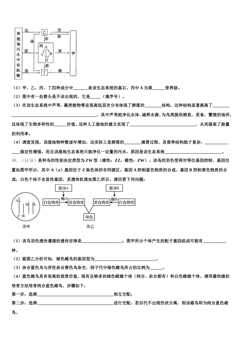 2025年甘肃省庆阳市第六中学高一下生物期末联考模拟试题含解析_第3页