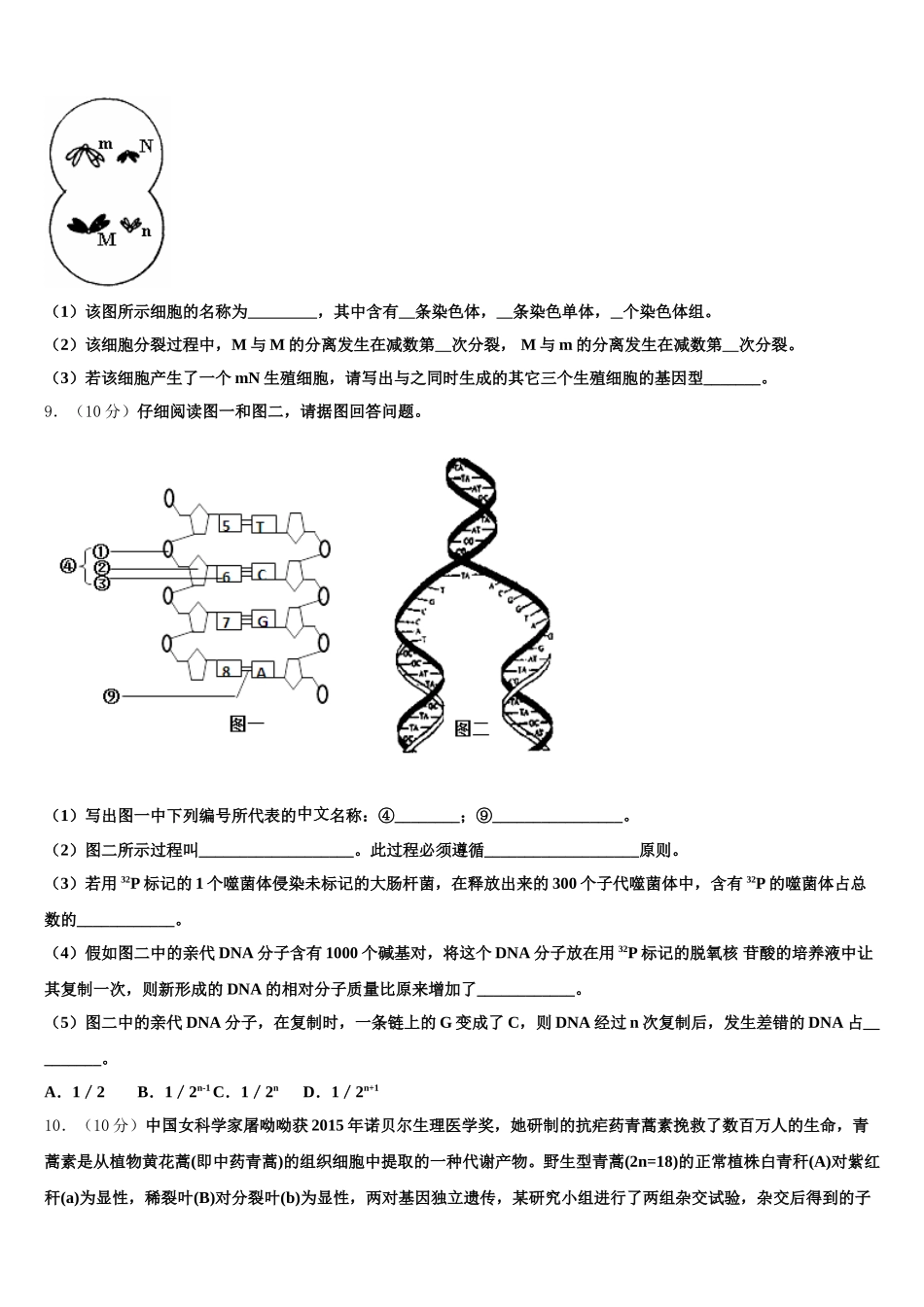 2025年甘肃省甘南州卓尼县柳林中学高一下生物期末综合测试试题含解析_第3页