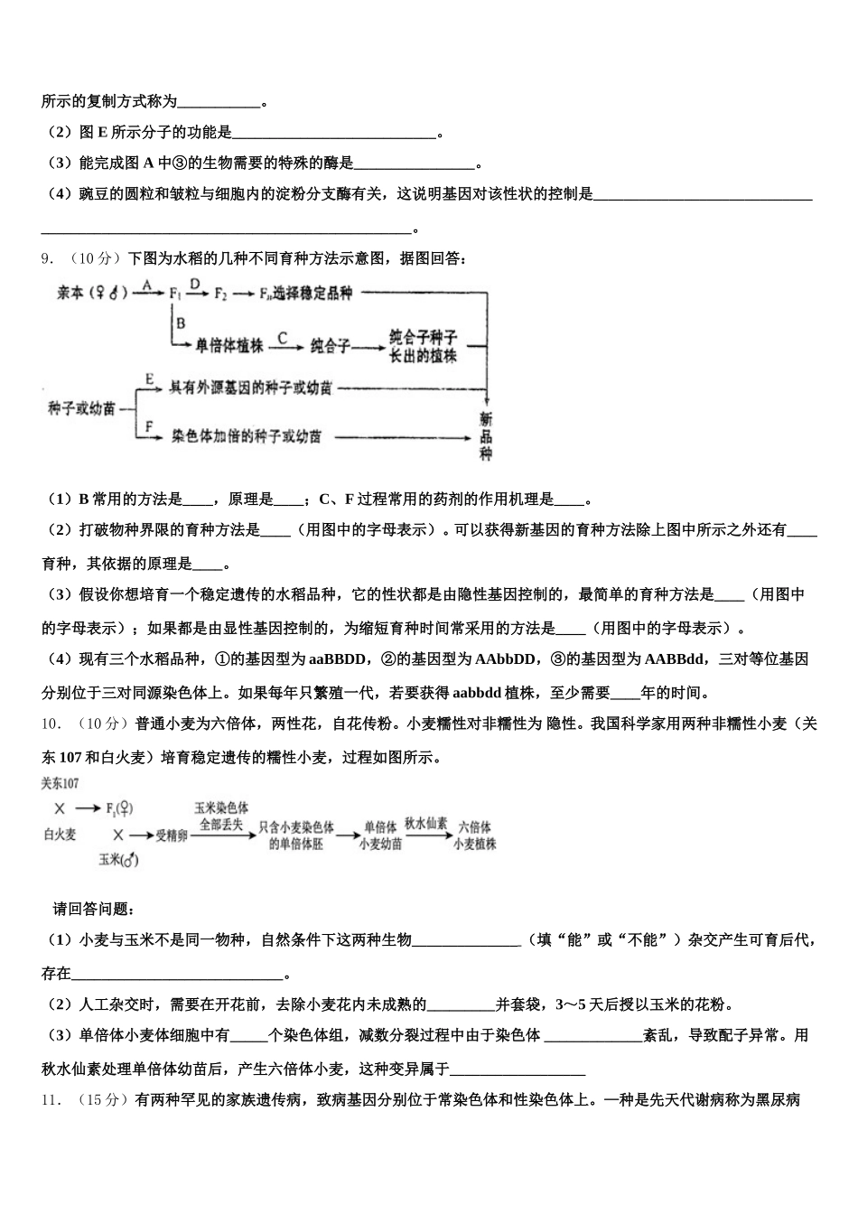 2024-2025学年甘肃省民勤三中 高一下生物期末质量跟踪监视试题含解析_第3页