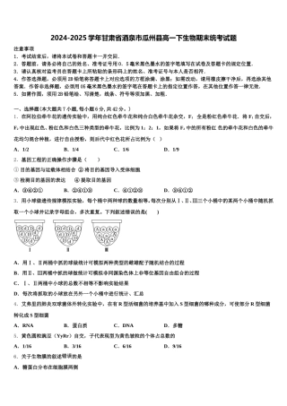 2024-2025学年甘肃省酒泉市瓜州县高一下生物期末统考试题含解析