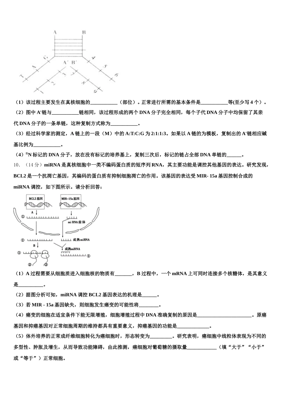 甘肃省白银市第九中学2024-2025学年高一下生物期末教学质量检测试题含解析_第3页