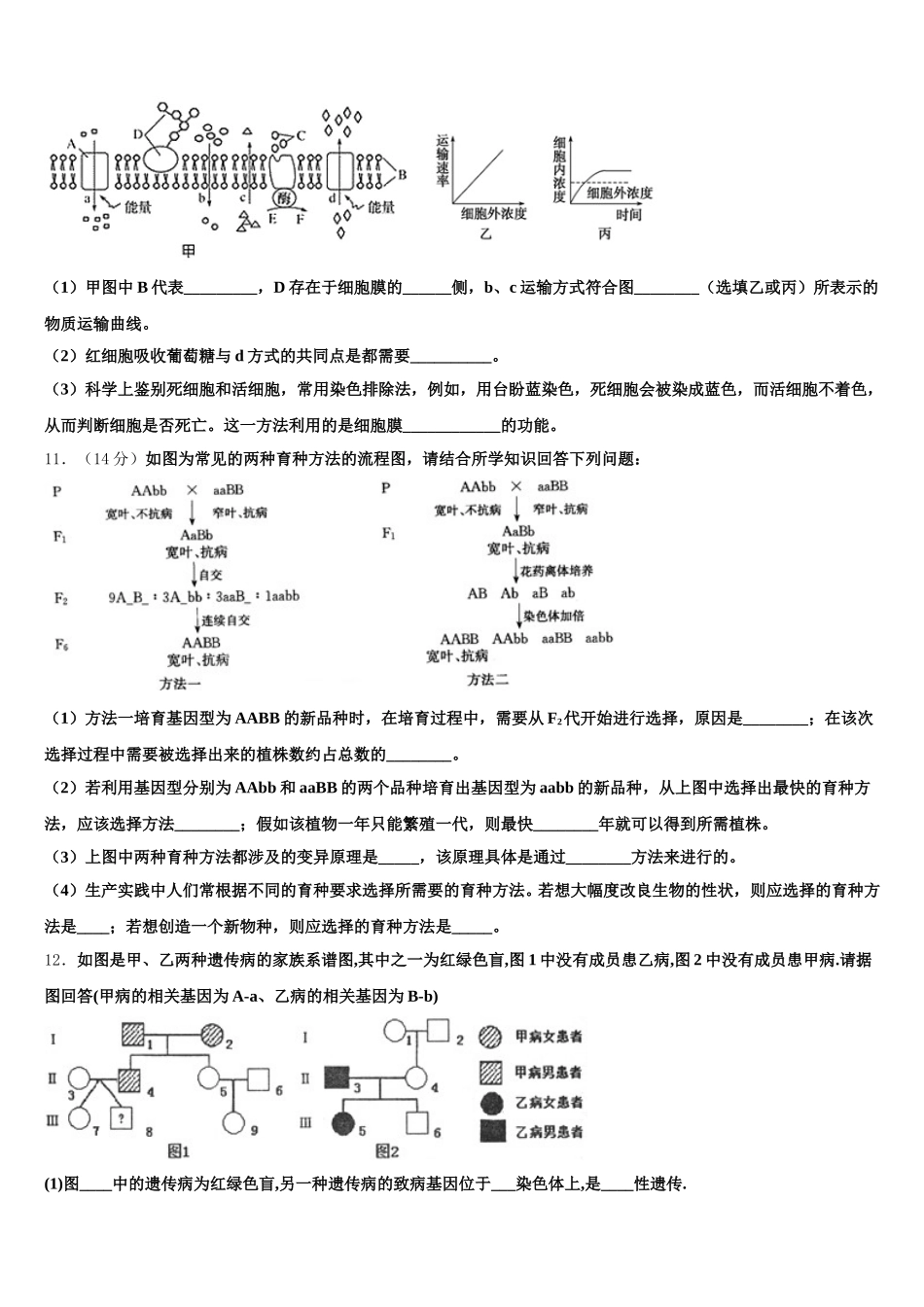 2024-2025学年甘肃省白银市九中高一生物第二学期期末综合测试试题含解析_第3页