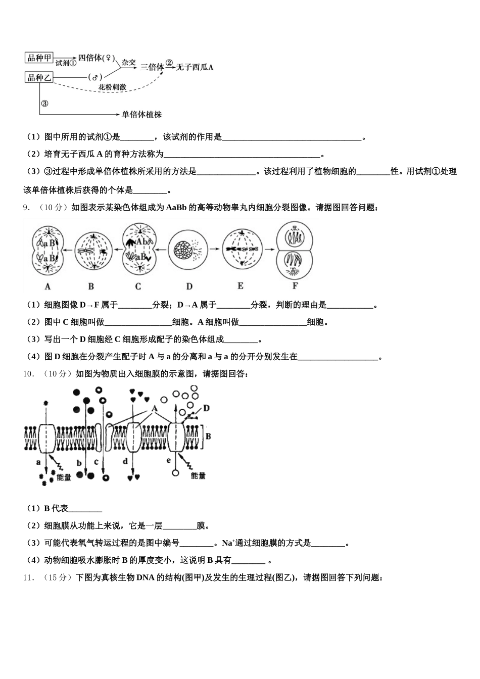 2025年甘肃省兰州市一中生物高一下期末调研模拟试题含解析_第3页