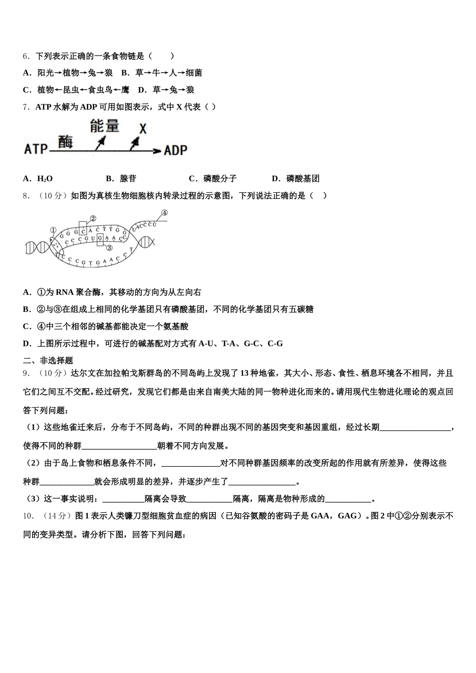 甘肃省天水市五中2024-2025学年生物高一下期末复习检测试题含解析_第2页