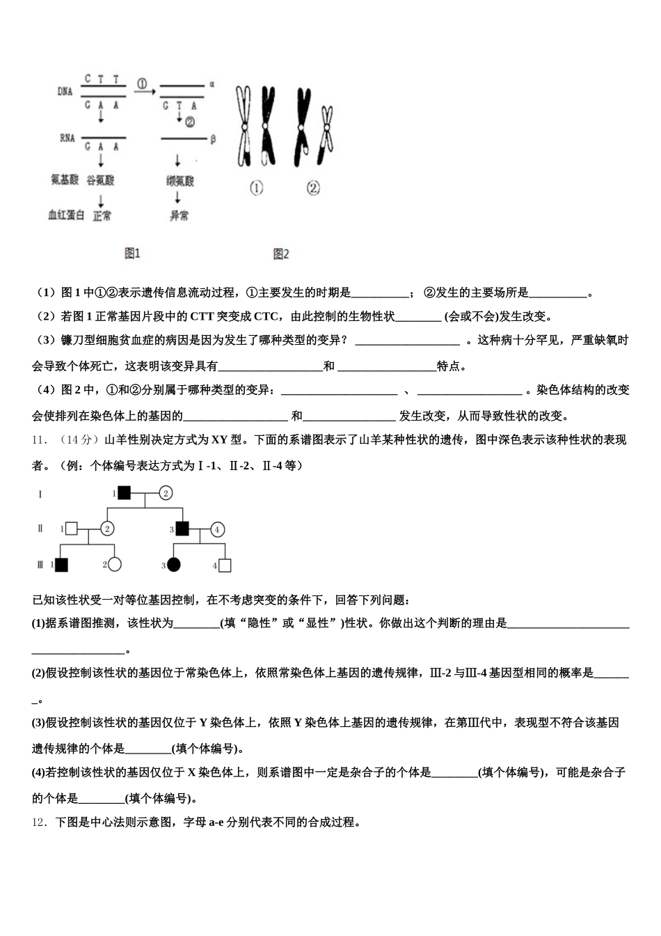 甘肃省天水市五中2024-2025学年生物高一下期末复习检测试题含解析_第3页